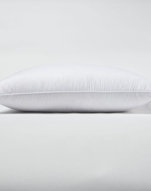 collections/SinglePillowProductShot_afca172e-3142-4eee-af8f-3ac3ddc82841.jpg