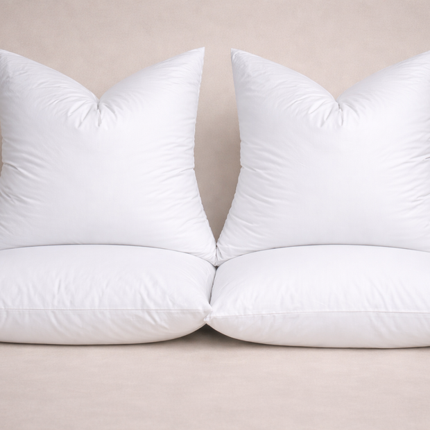 Dutch Euro Pillow Insert - Twin Pack (32"x38")