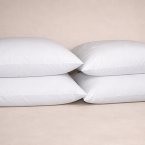 Dutch Euro Pillow Insert - Twin Pack (32