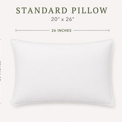 Decorative Pillow Inserts | Feather Filled - Twin Pack