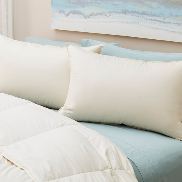 300TC 100% Cotton Lanadown Pillow