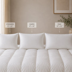 Premium German Batiste White Goose Down Pillow